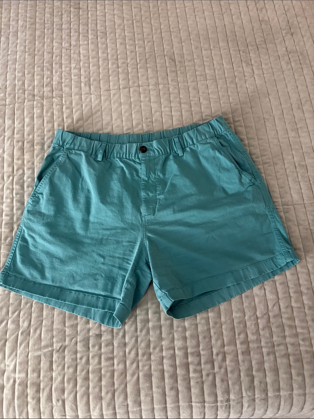 Bearbottom Men's Aqua Casual Cotton Shorts - XL